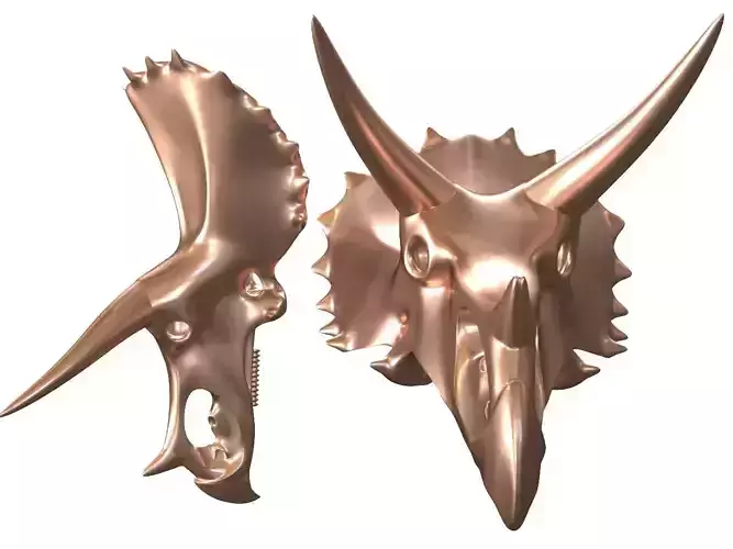 Cranium Charm Triceratops Bronze 3D print model