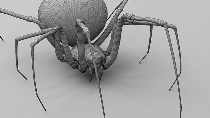 Black widow spider  v2 3D model