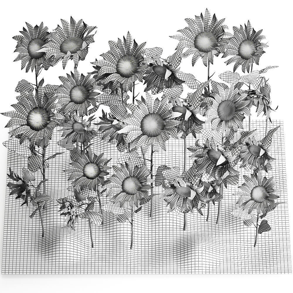 Sunflower field 3D model_7