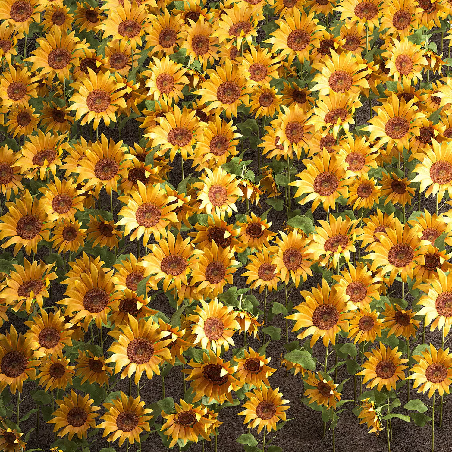 Sunflower field 3D model_0