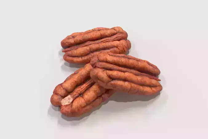 Pecan pecans 3D model