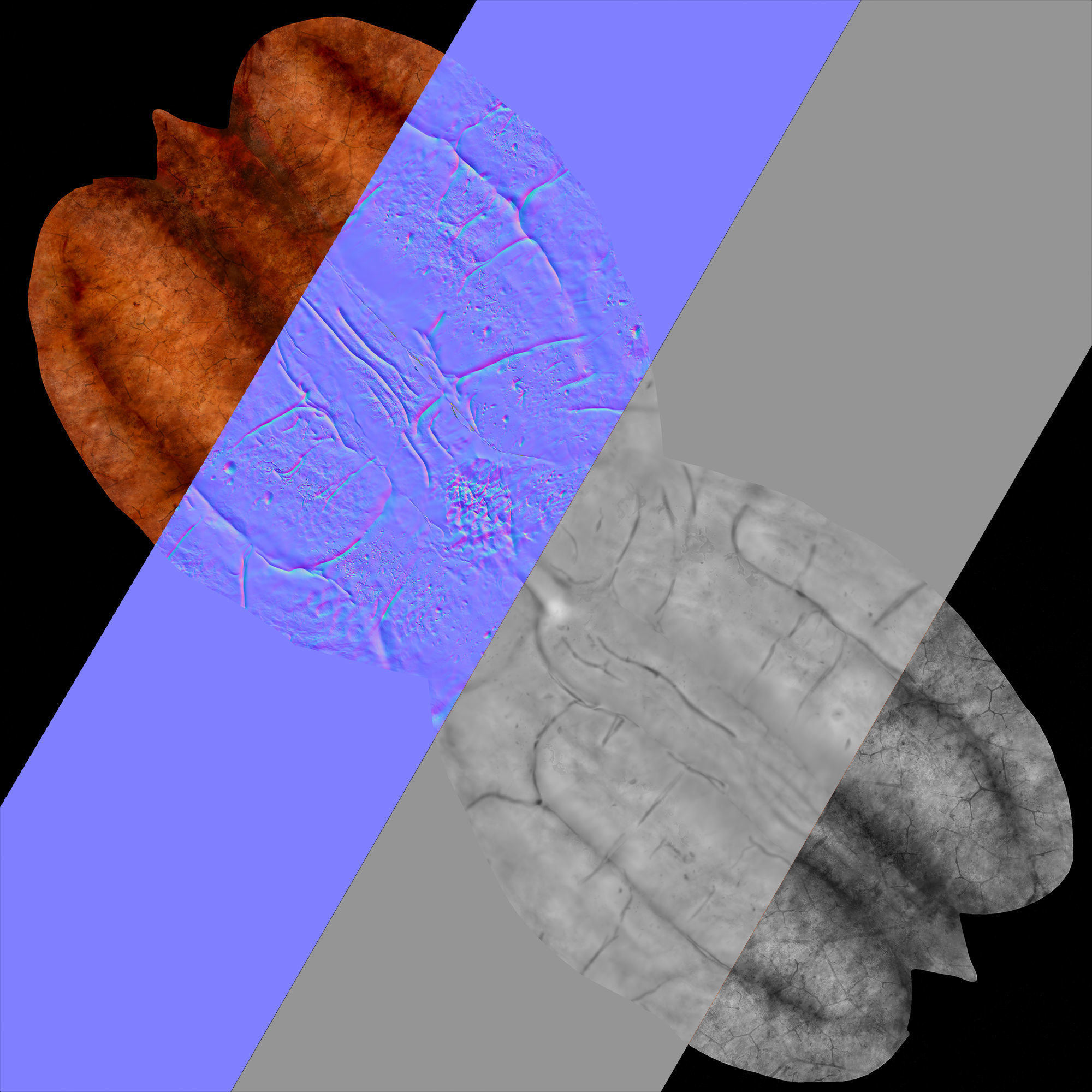 Pecan pecans 3D model_7