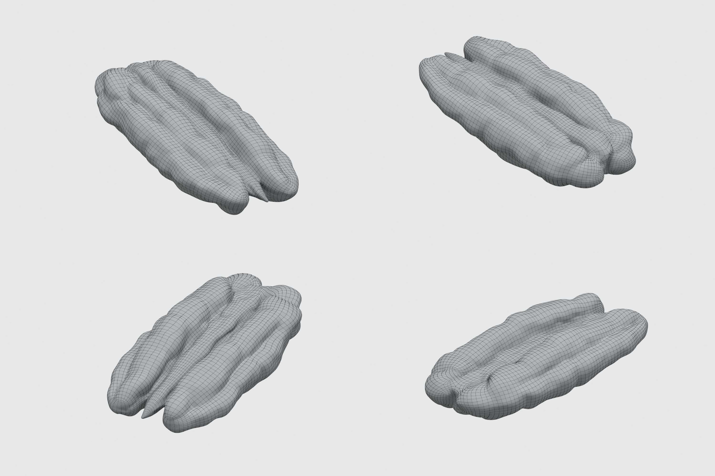 Pecan pecans 3D model_4