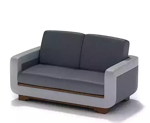 Two Seated Leather Couch