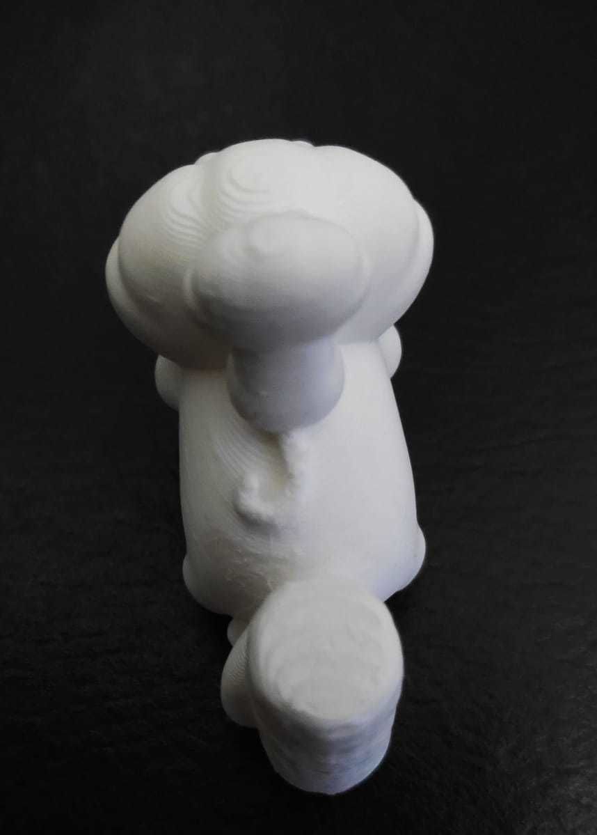 Golden Lion Tamarin 3D print model_11