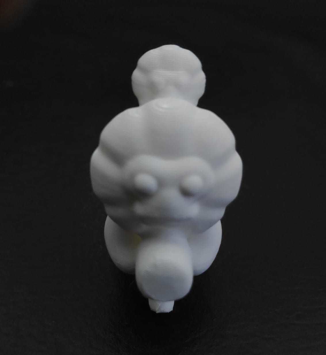 Golden Lion Tamarin 3D print model_10