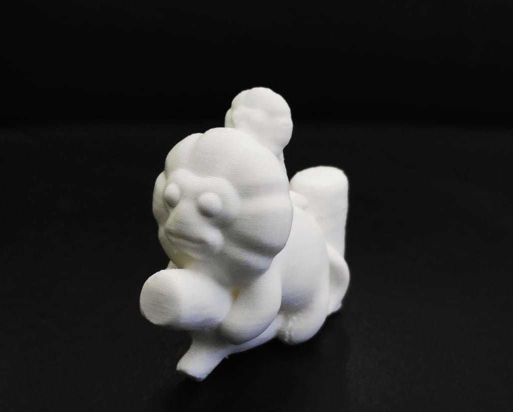 Golden Lion Tamarin 3D print model_5