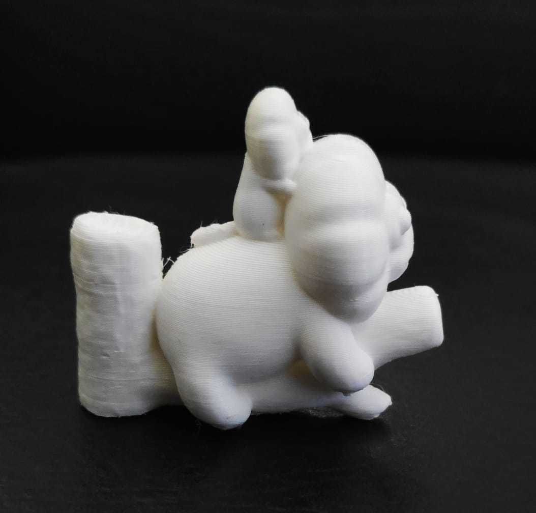 Golden Lion Tamarin 3D print model_8