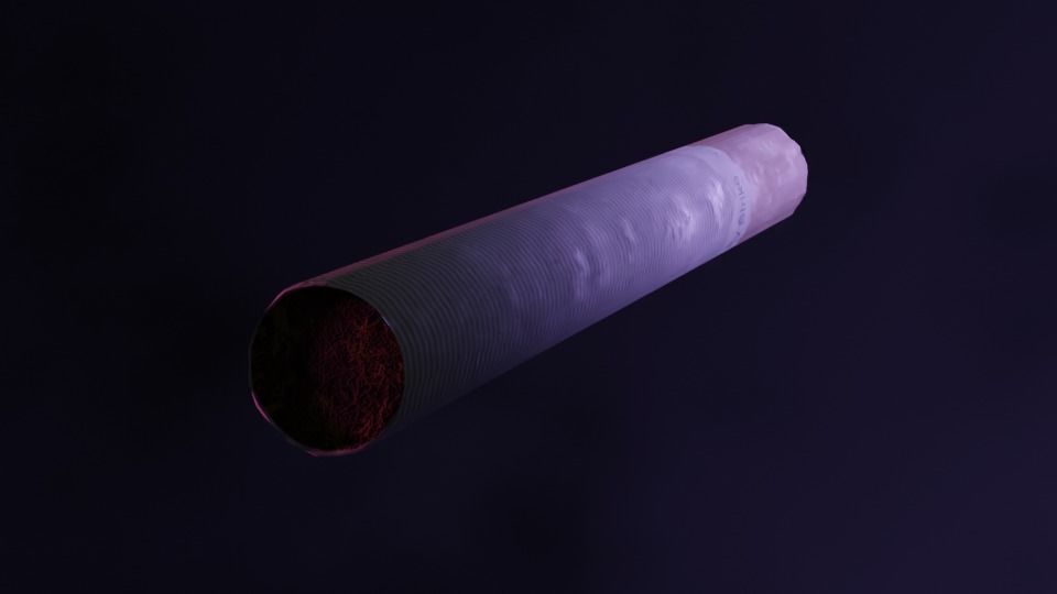 Cigarette Model Burning Variant with Realistic 4k PBR Textures Low-poly 3D model_5