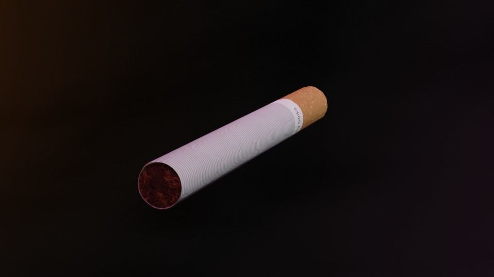 Cigarette Model Burning Variant with Realistic 4k PBR Textures Low-poly 3D model_3
