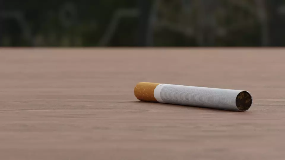 Cigarette Model Burning Variant with Realistic 4k PBR Textures Low-poly 3D model_0