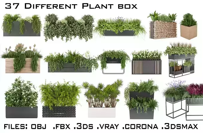 Large Collection plant vol 1 
