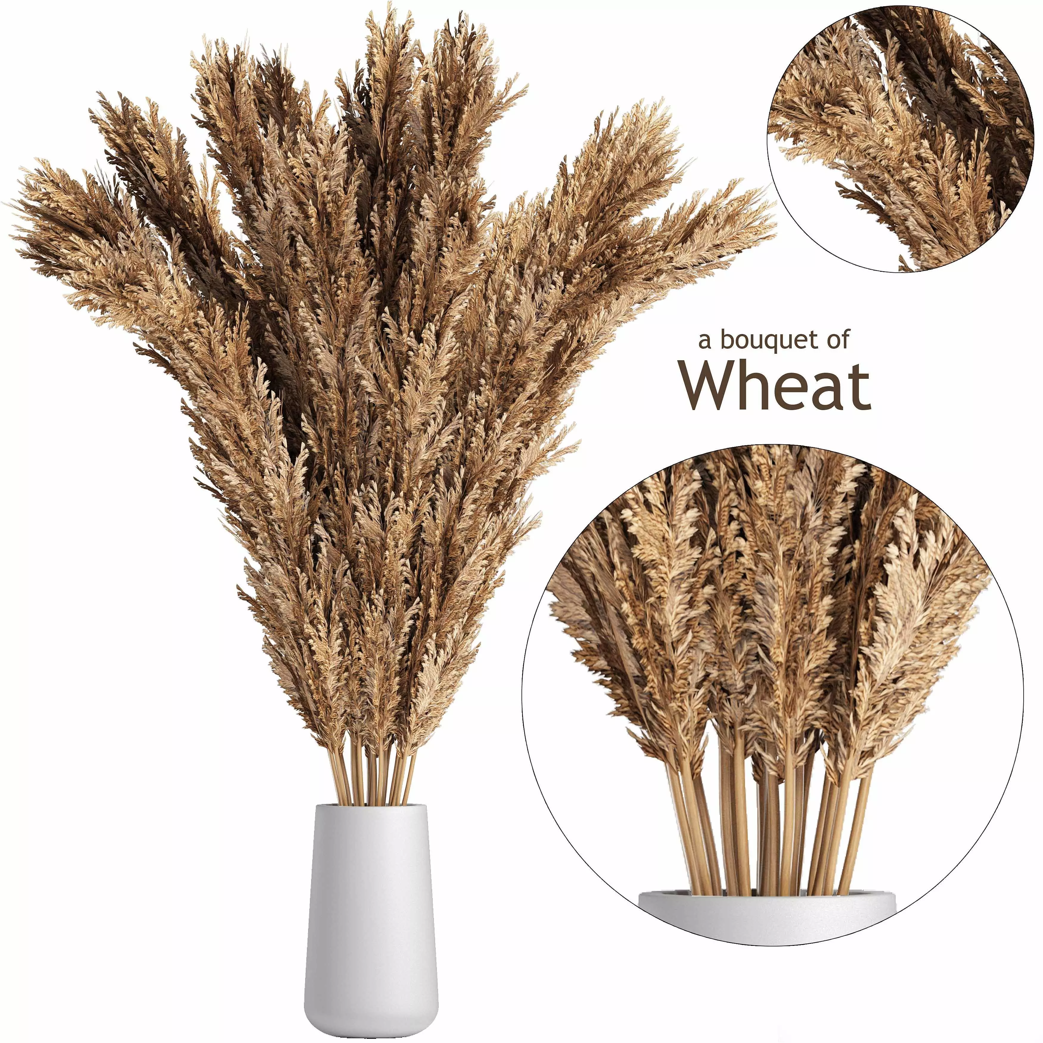 A bouquet of wheat 3D model_0