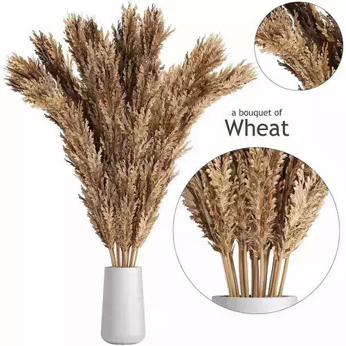 A bouquet of wheat