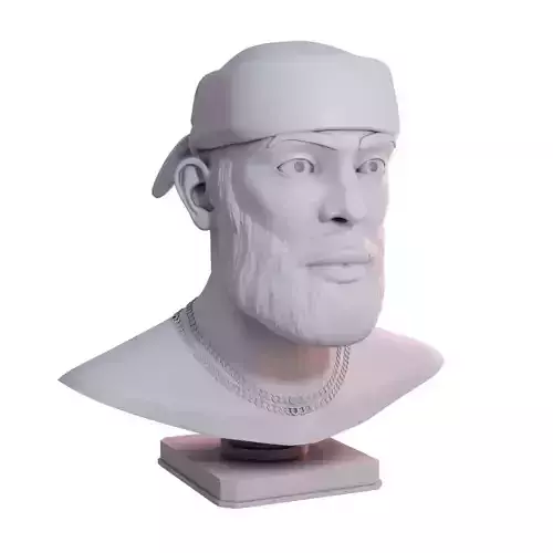 Bearded Man BUST 3D print model