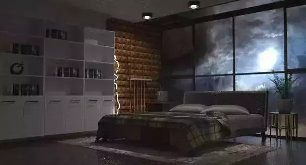 Bedroom with bed and bookshelves