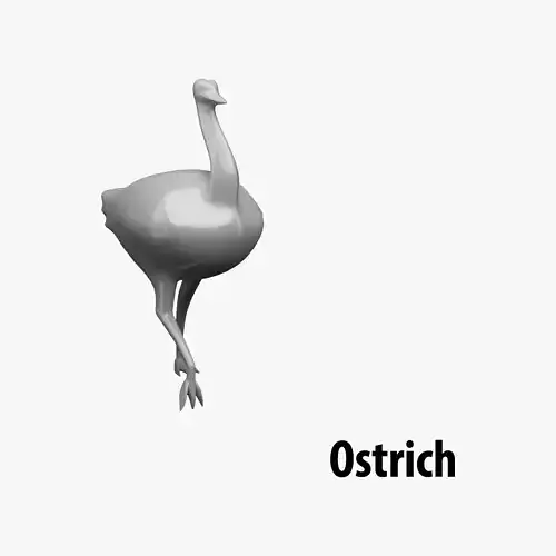 Animal decoration - Safari Pack