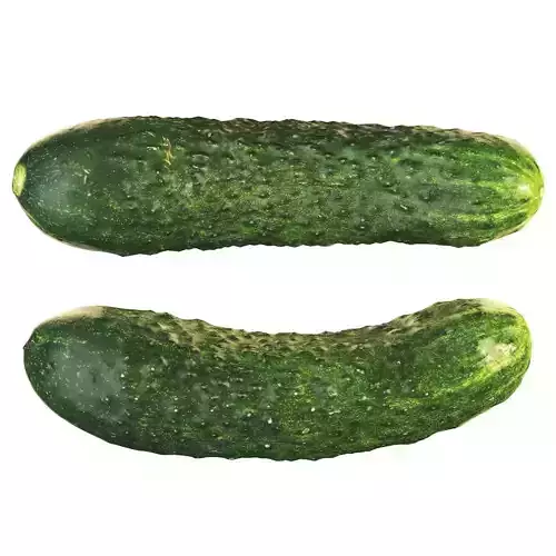 4k Cucumber 3D model