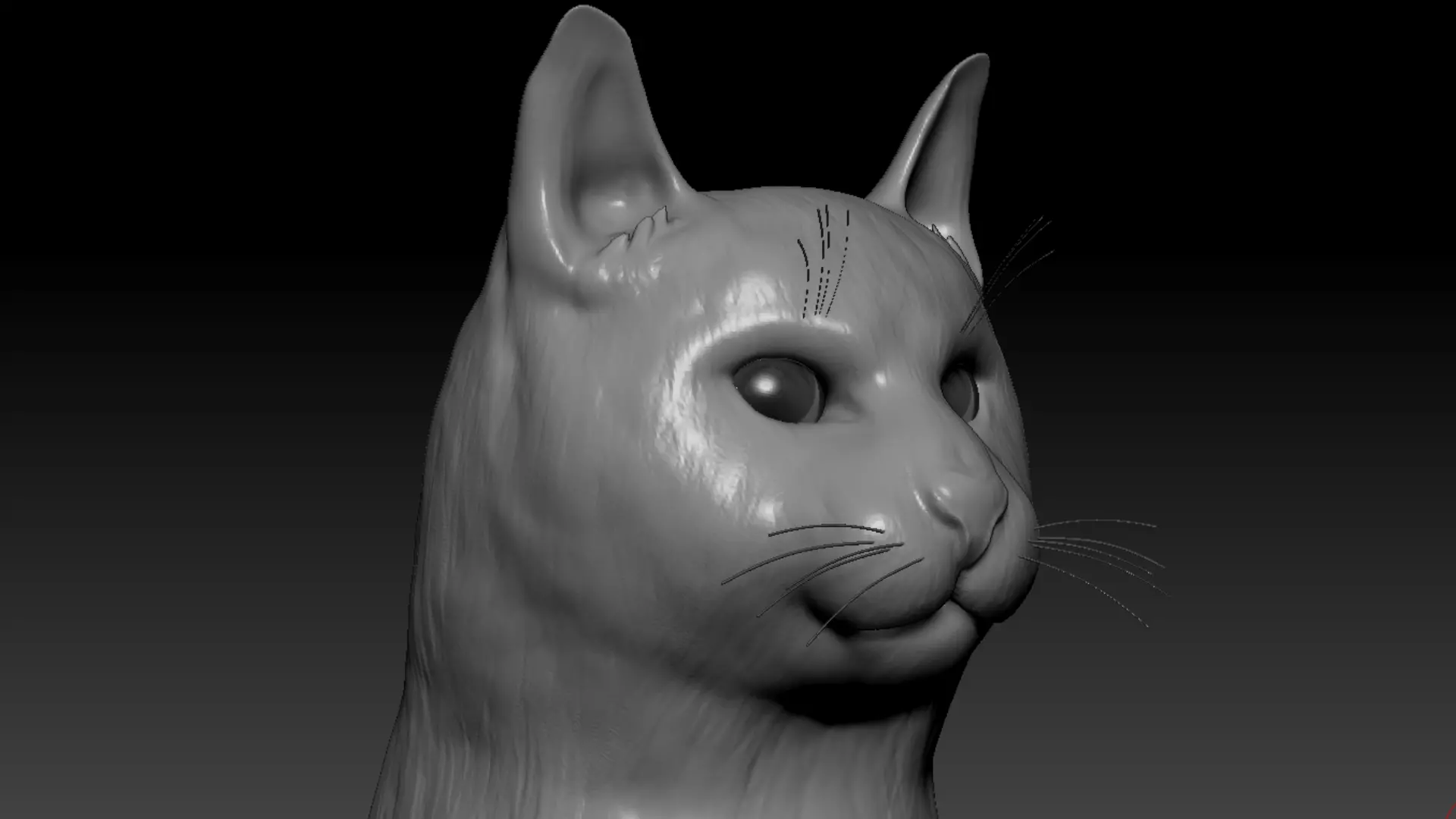 Cat head 3D model