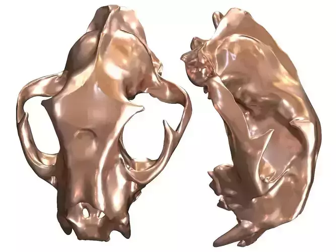 Cranium Charm Lion Bronze