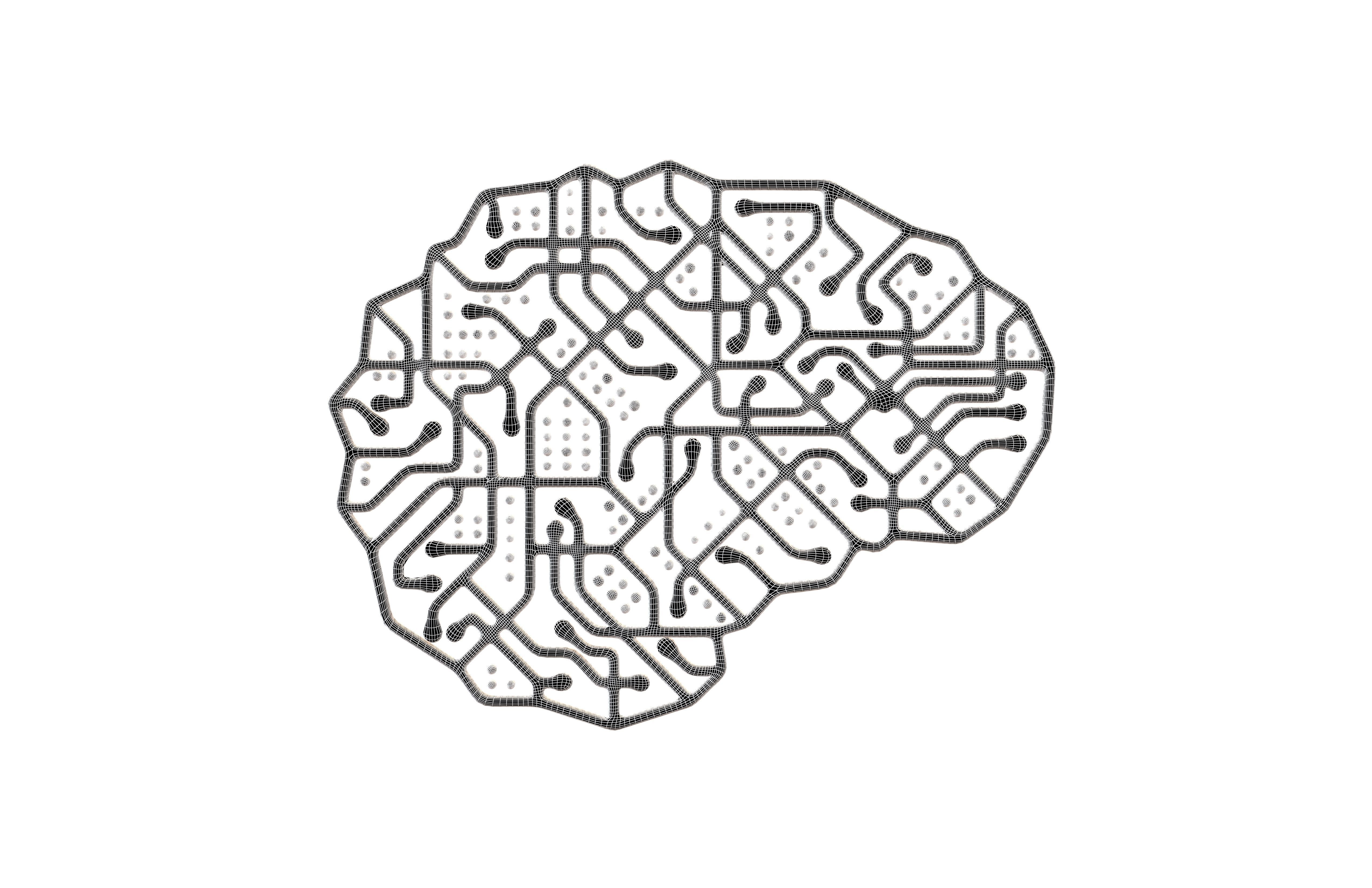 Electronic Circuit Brain v1 005 Low-poly 3D model_5