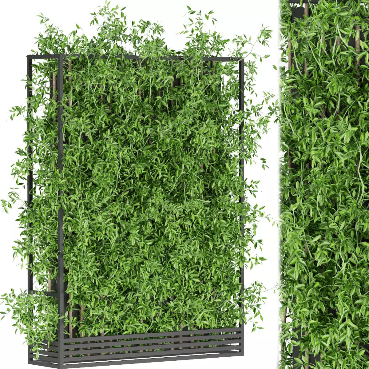 Collection plant vol 180 3D model_0