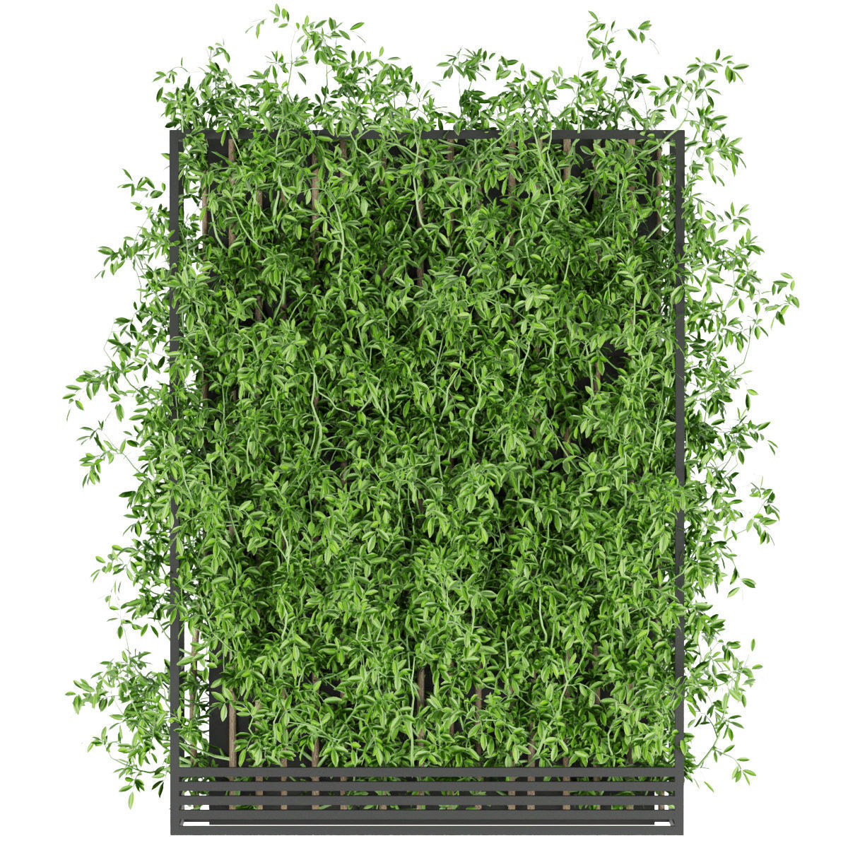 Collection plant vol 180 3D model_1