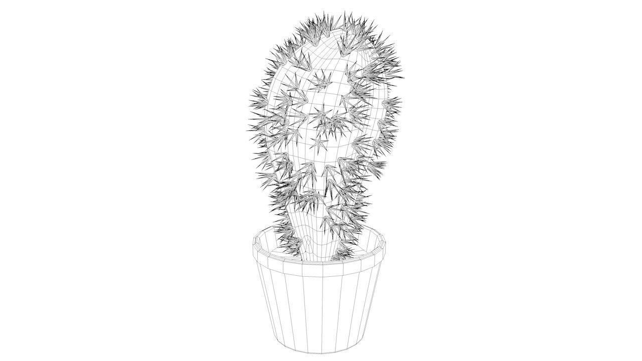 kaktus cactus 3D model_3
