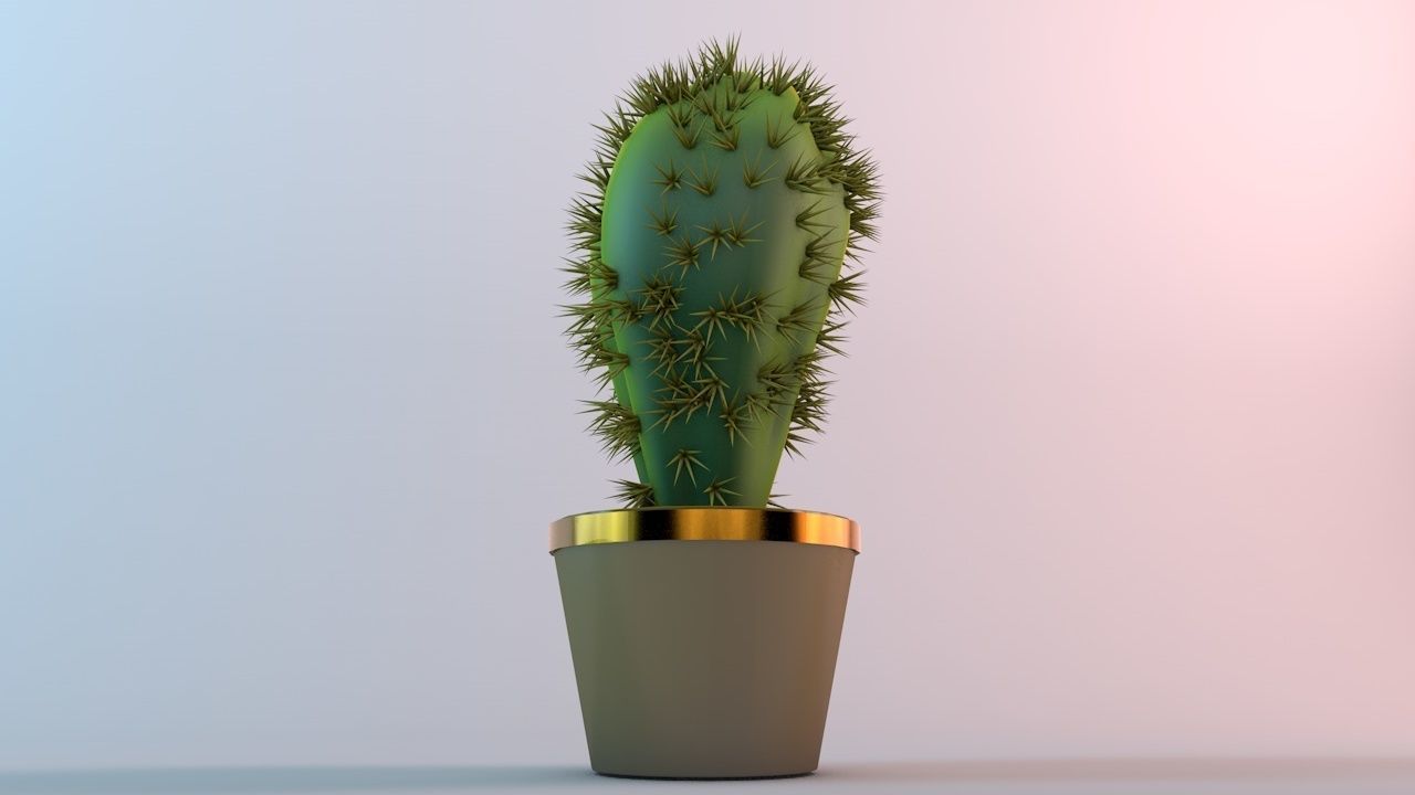kaktus cactus 3D model_1