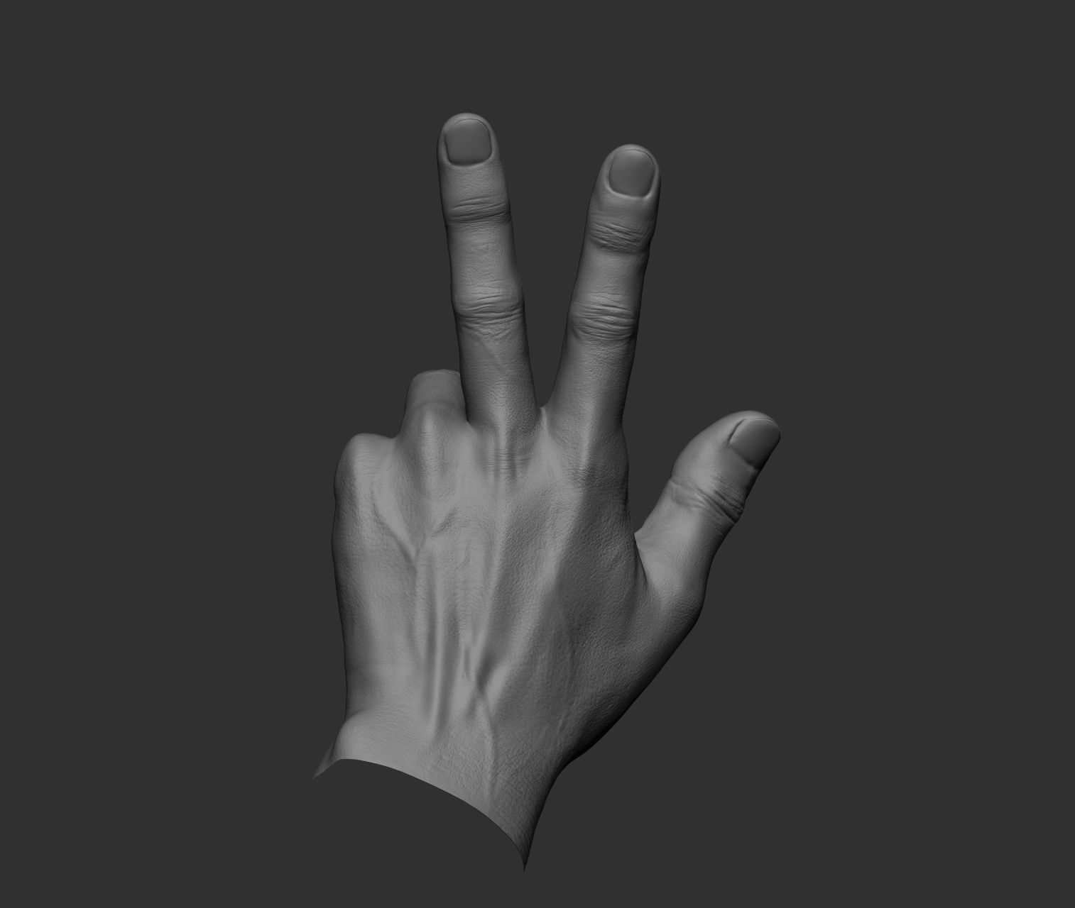 10 Male hands  3D model_6