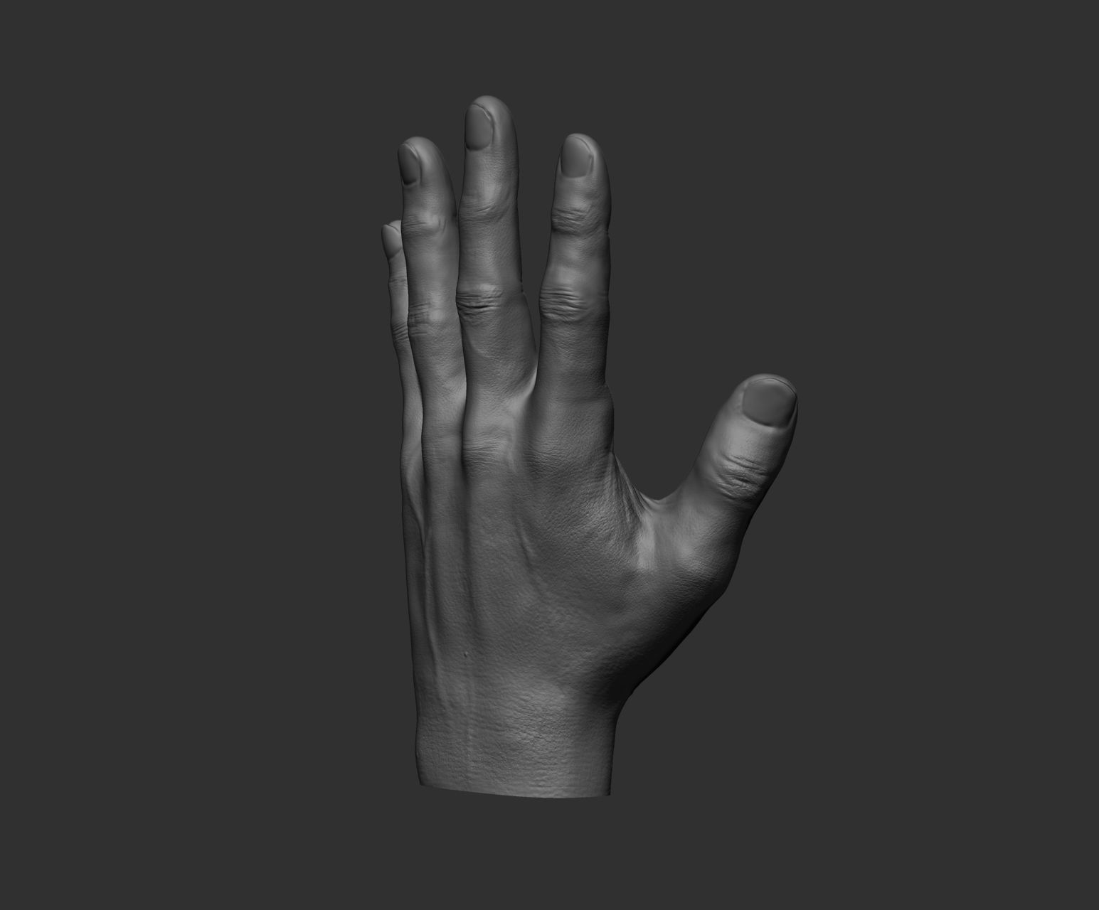 10 Male hands  3D model_87
