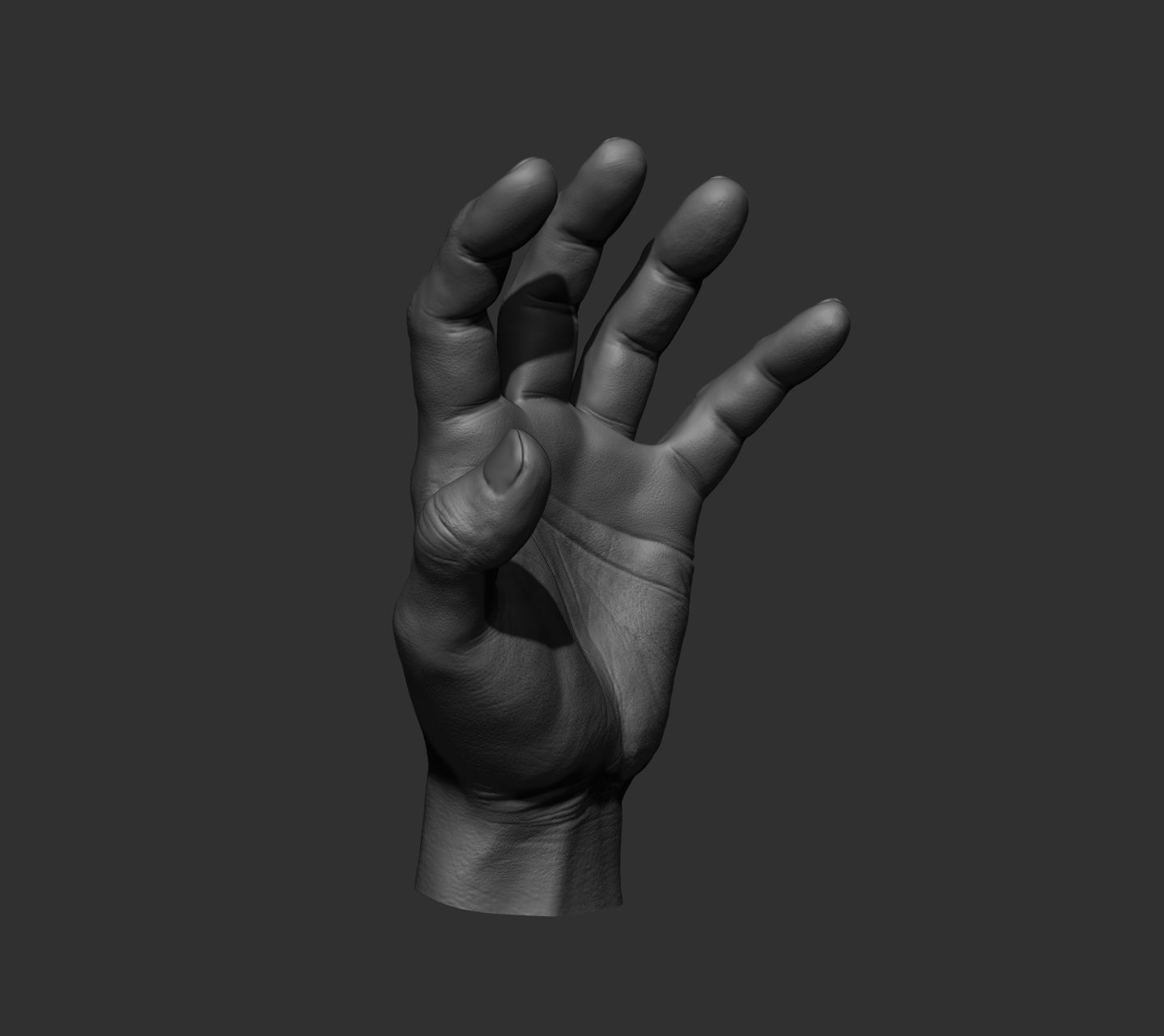 10 Male hands  3D model_70