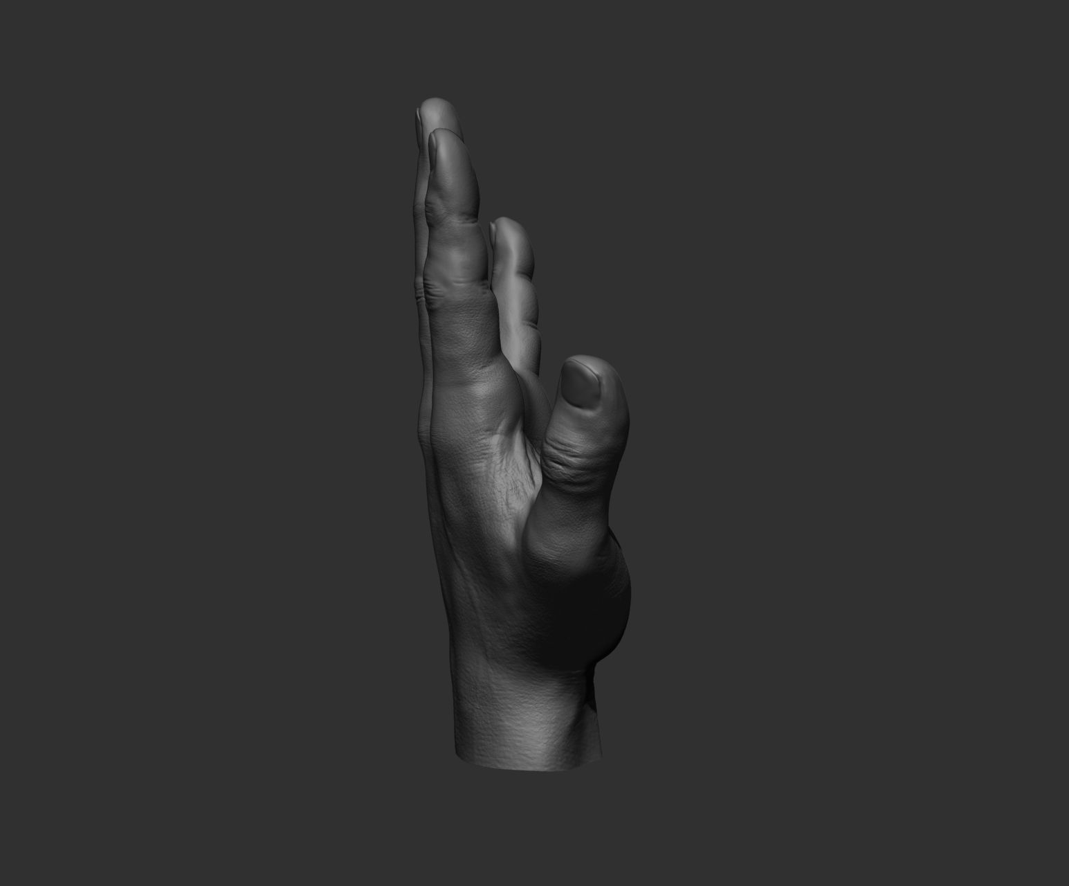10 Male hands  3D model_84