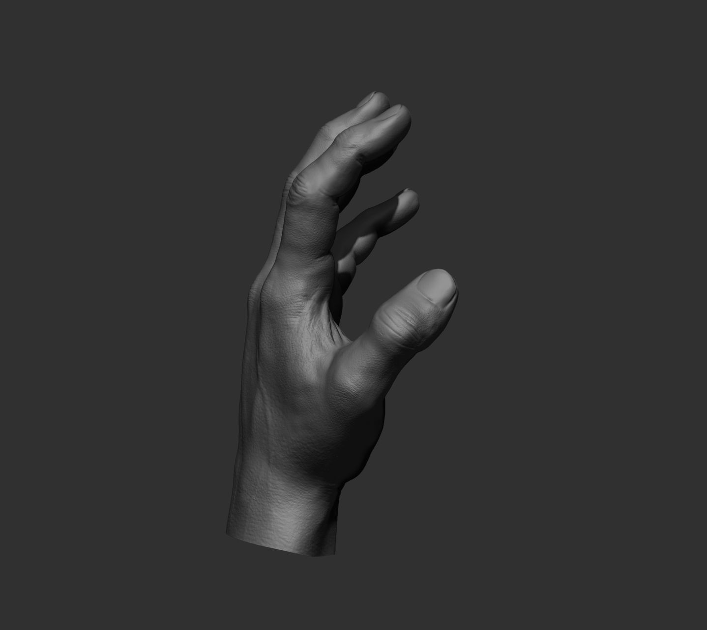 10 Male hands  3D model_73