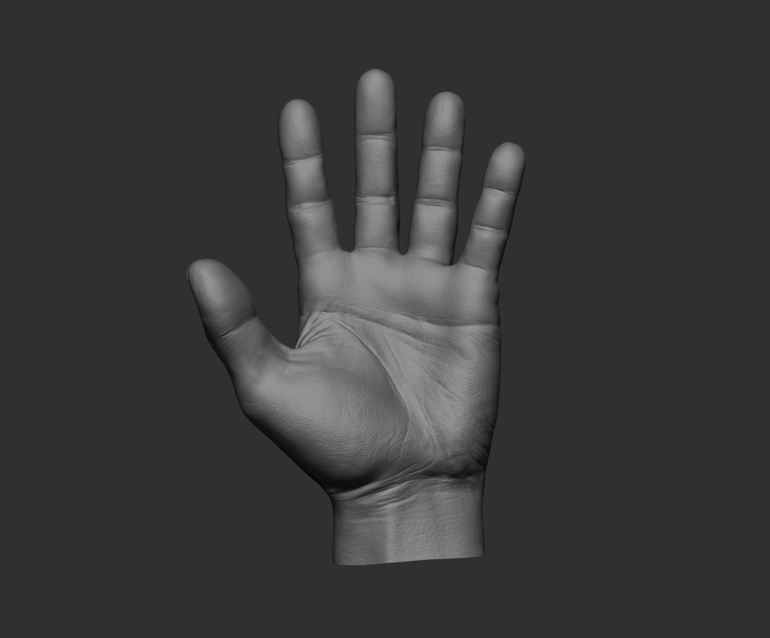 10 Male hands  3D model_88