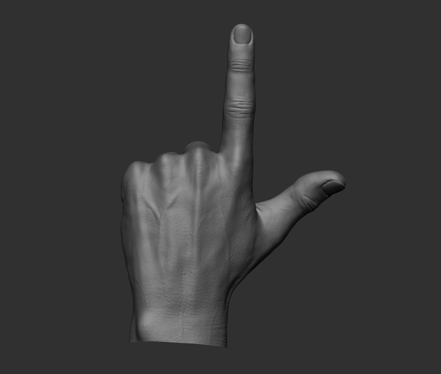 10 Male hands  3D model_30