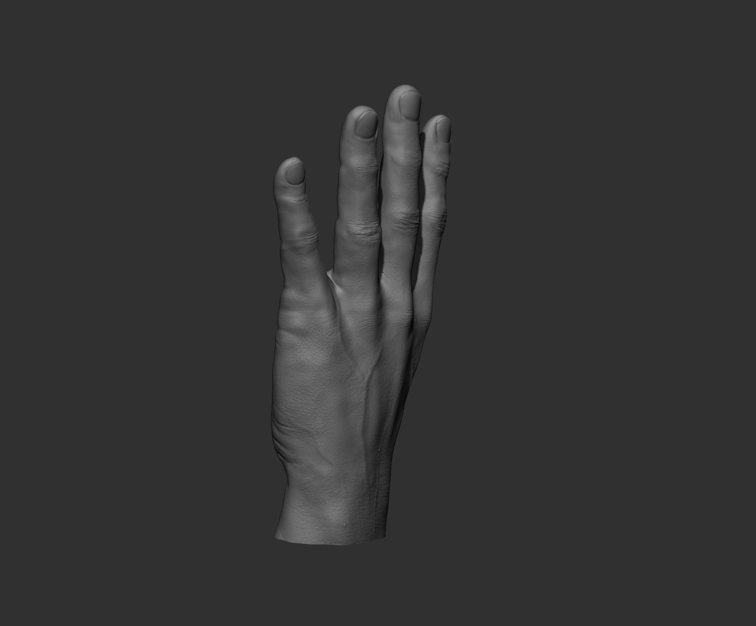 10 Male hands  3D model_83