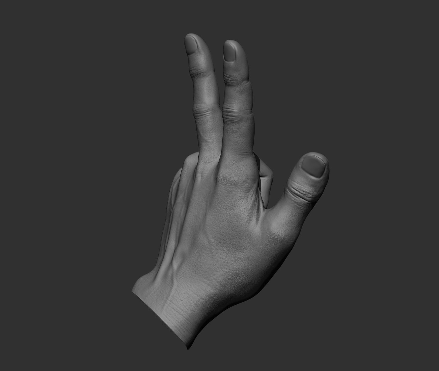 10 Male hands  3D model_7