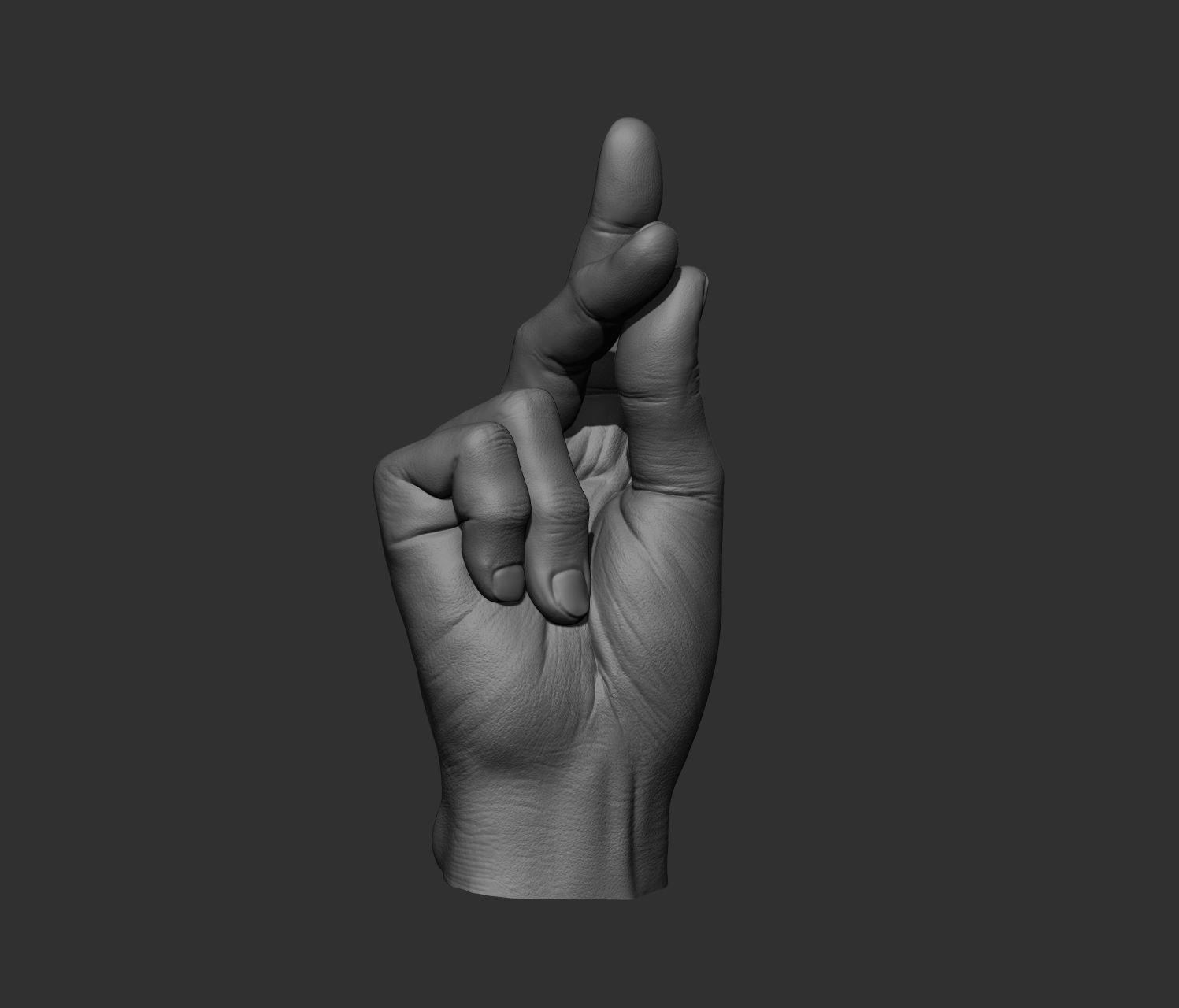 10 Male hands  3D model_11