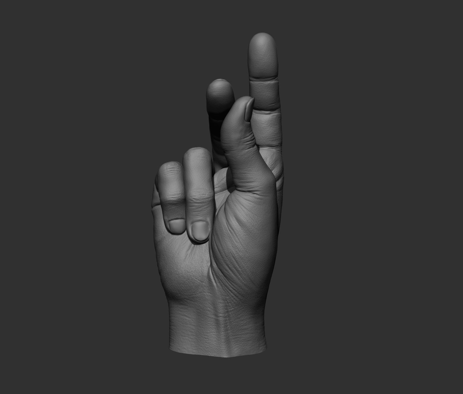 10 Male hands  3D model_12