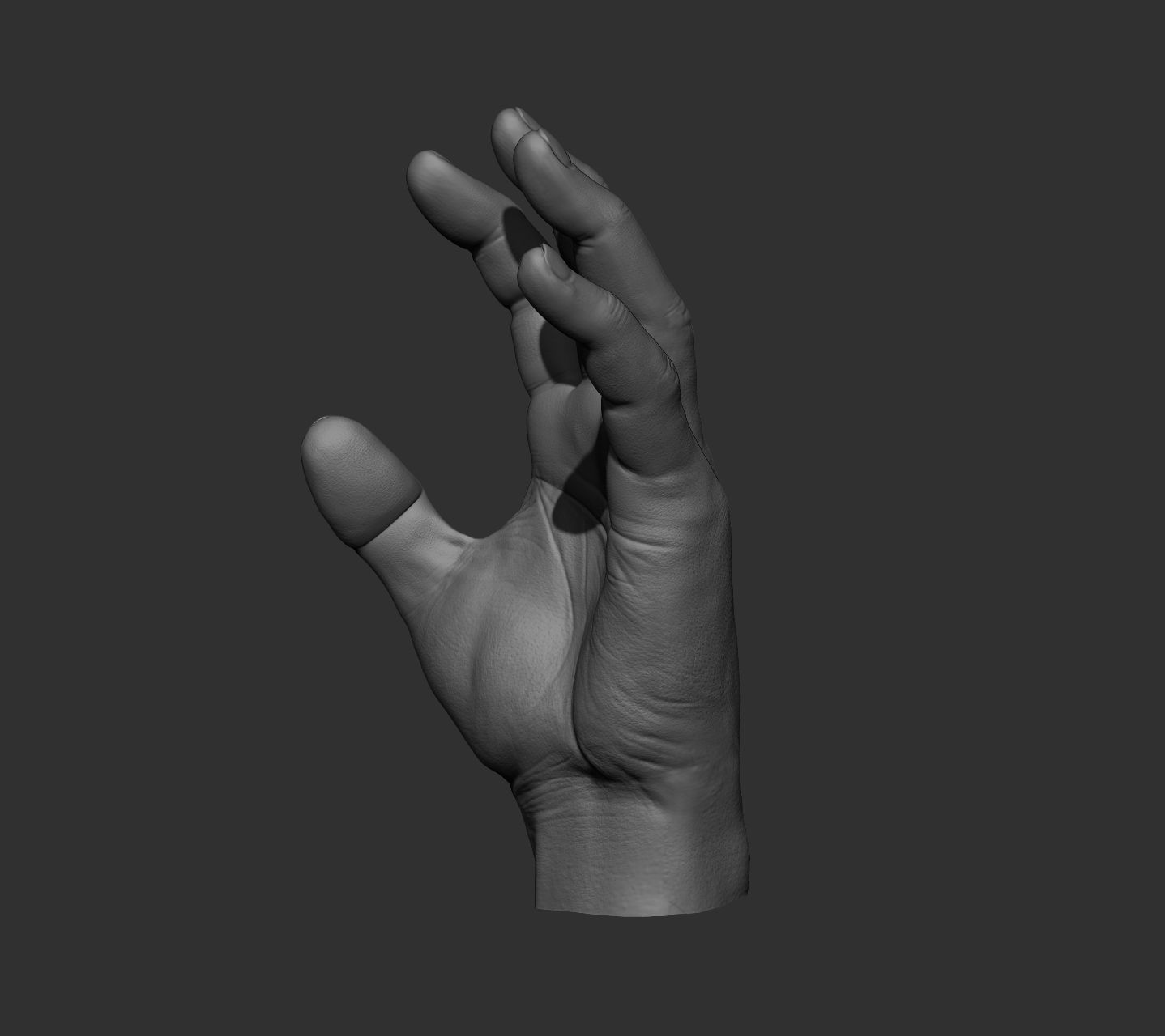 10 Male hands  3D model_66