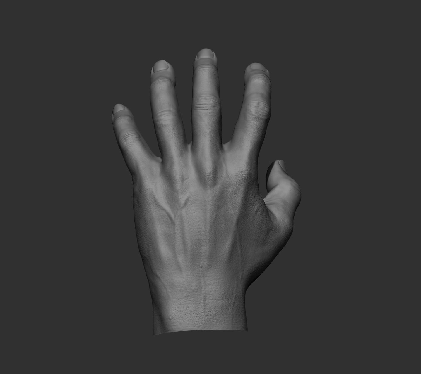 10 Male hands  3D model_69