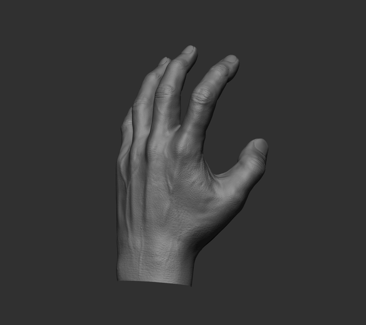 10 Male hands  3D model_75