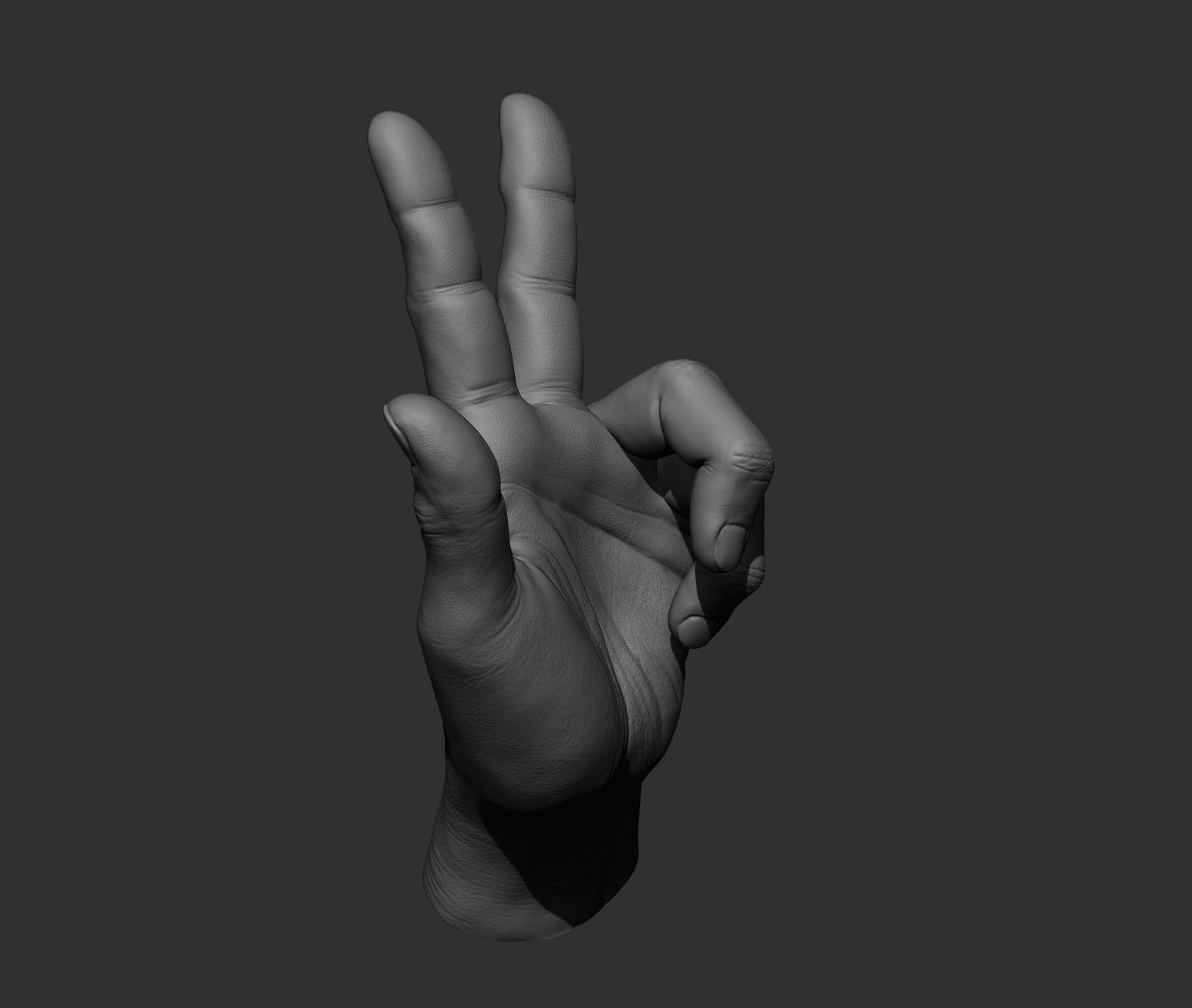 10 Male hands  3D model_9