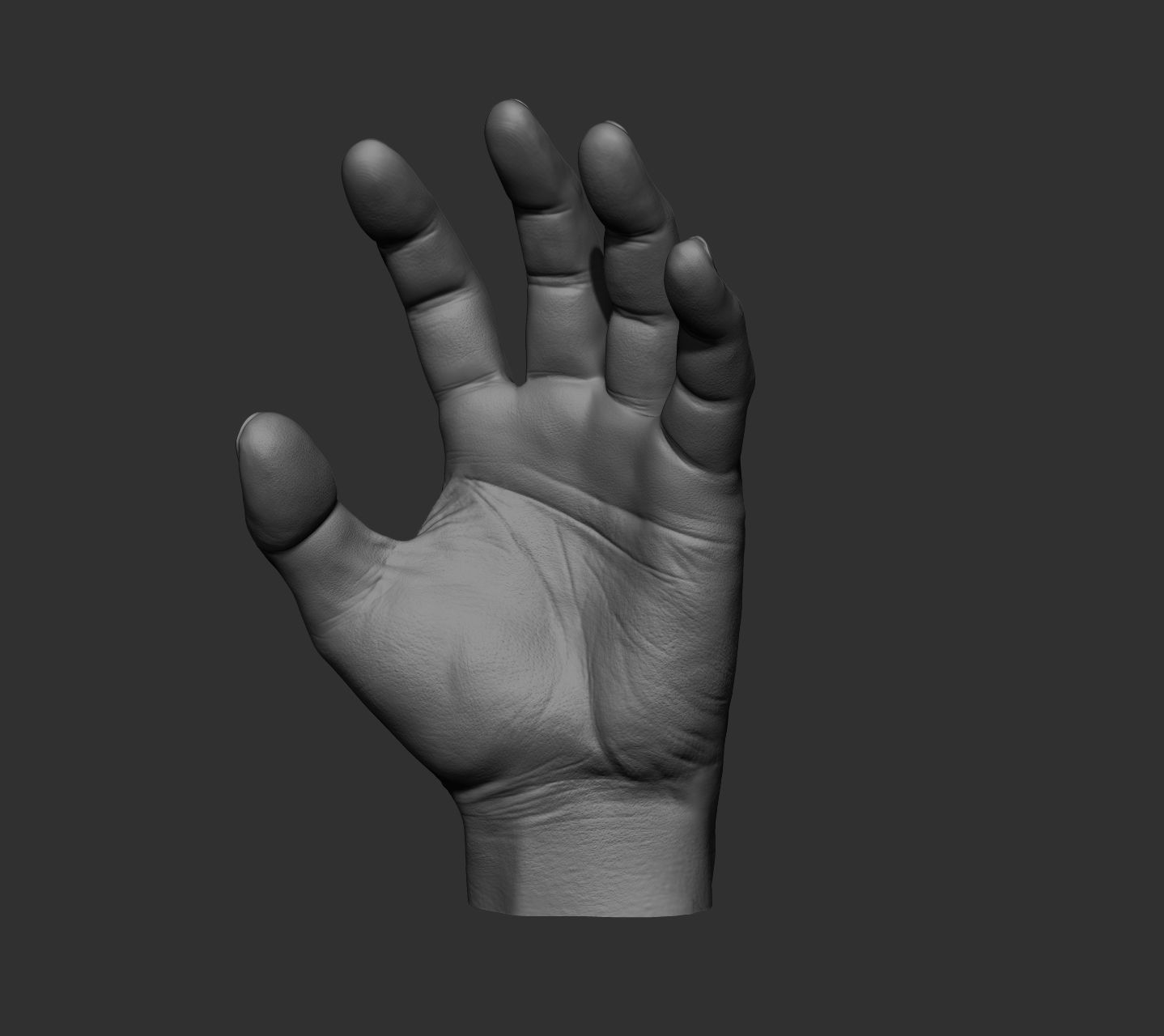 10 Male hands  3D model_68