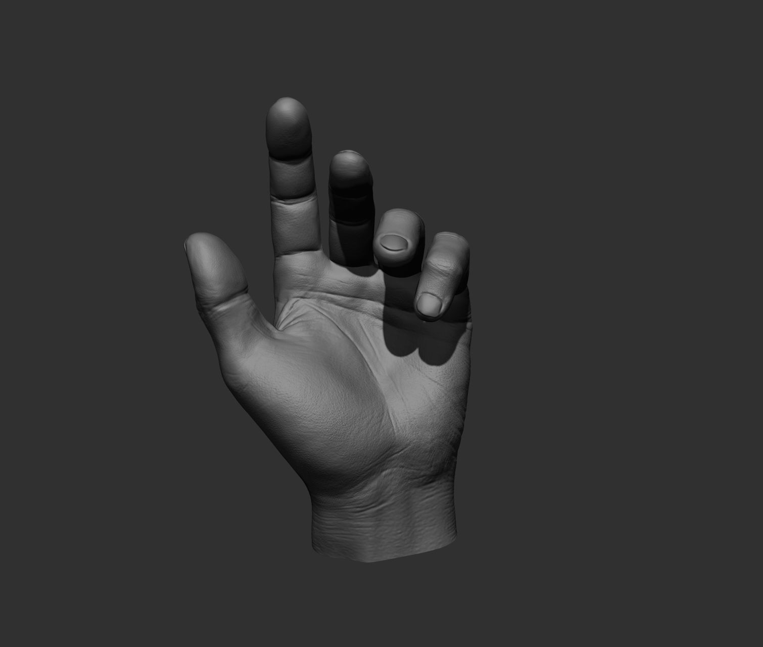 10 Male hands  3D model_36