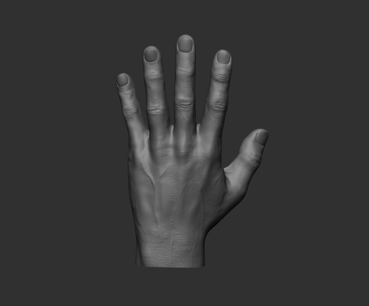 10 Male hands  3D model_86