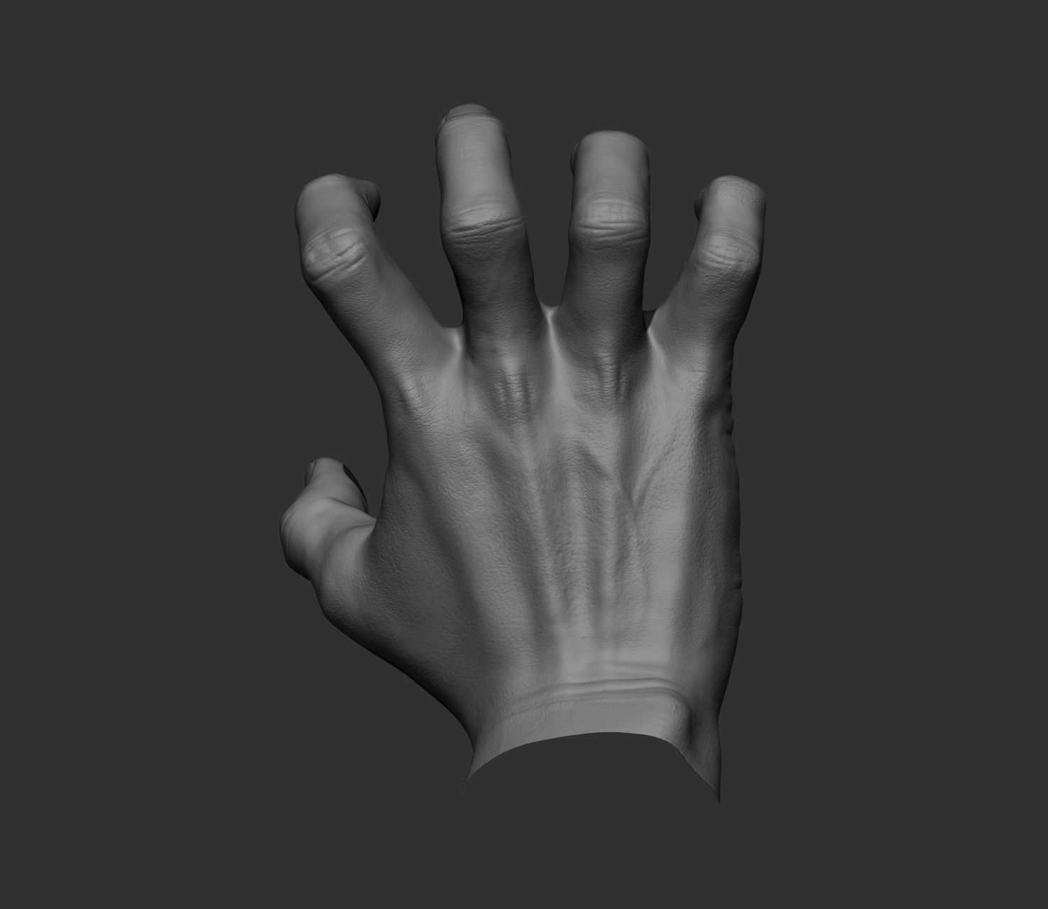 10 Male hands  3D model_79