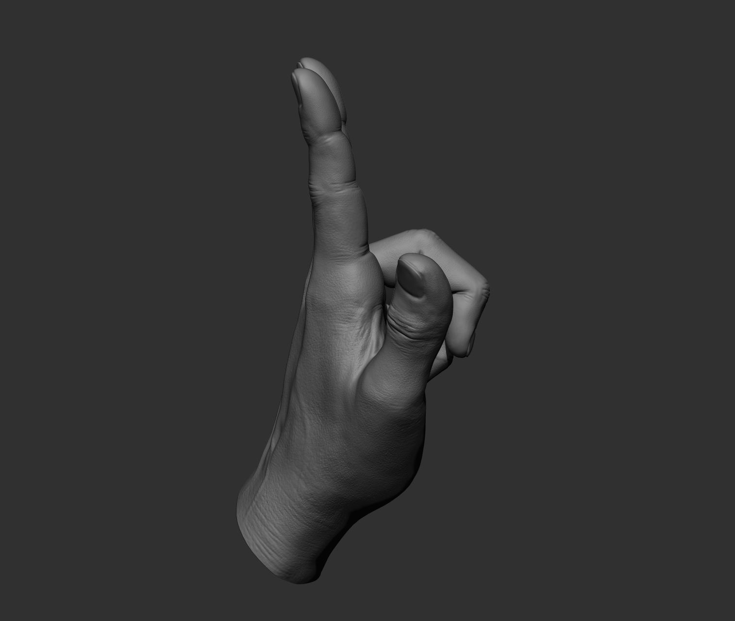 10 Male hands  3D model_8