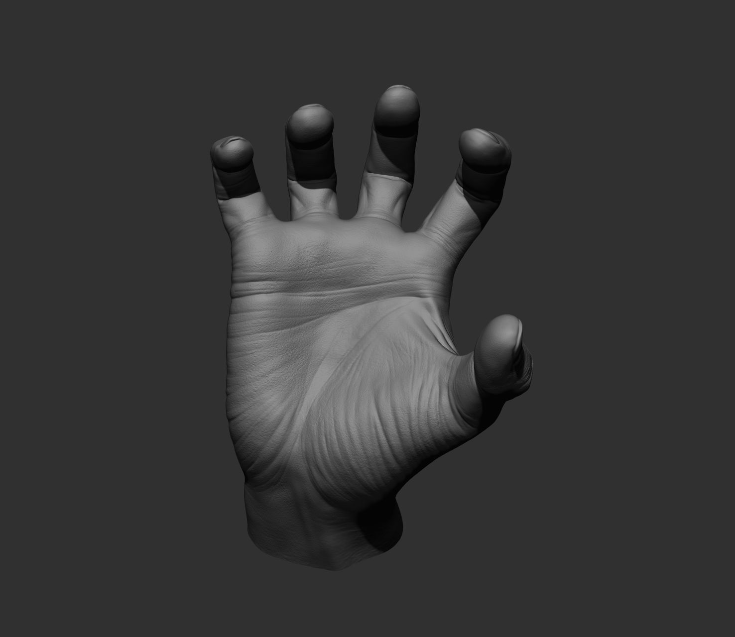 10 Male hands  3D model_81